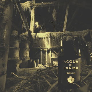 Quercia (Eau de Parfum) - Acqua di Parma