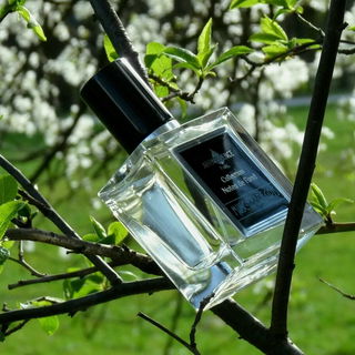 Musc-Ambre Gris - Affinessence