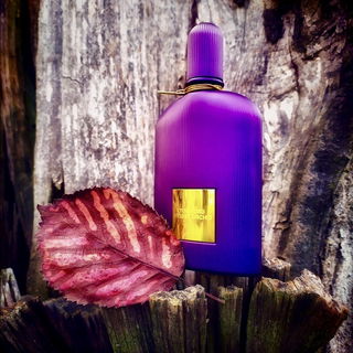 Velvet Orchid (Eau de Parfum) - Tom Ford