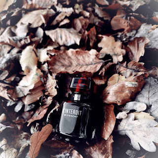 Verboten? Nein – verführt, entzückt, ein Flammenhauch, der Nacht entrückt. Ein roter Schleier, samt und Licht, Gefahr und Glanz – ein Angesicht.  Sie geht, und jedes Herz verglüht, wo L’Interdit sein Feuer zieht.