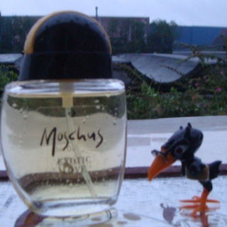 Moschus Exotic Love (Eau de Toilette) - Nerval