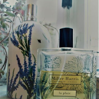 La Pluie - Miller Harris