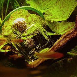 Ciel Woman - Amouage