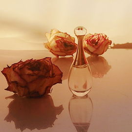 J'adore L'Absolu (2007) (Eau de Parfum Absolue) - Dior
