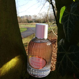 Tubéreuse & Néroli - Jeanne en Provence