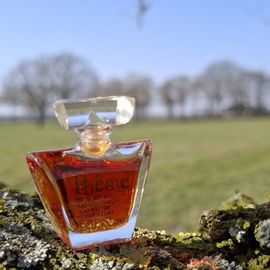 Eau Parfumée au Thé Bleu - Bvlgari