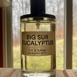 Gul Hina - Areej Le Doré