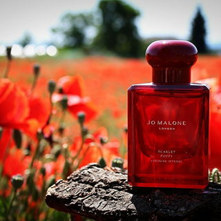 English Pear & Freesia (Cologne) - Jo Malone