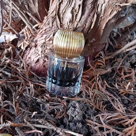 Oud Taiwan - Areej Le Doré