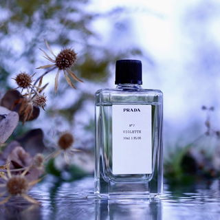 N°7 Violette by Prada