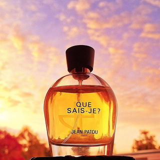 Que Sais-Je? (2014) von Jean Patou