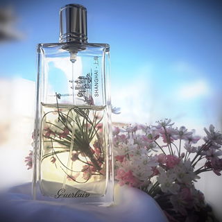 Ganz ganz lieben Dank euch allen 🤗😘