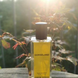 Gorseland - Jorum Studio