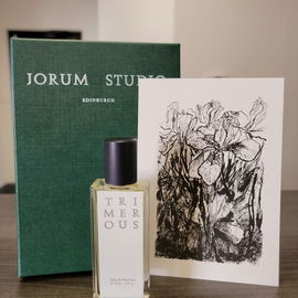 Trimerous - Jorum Studio