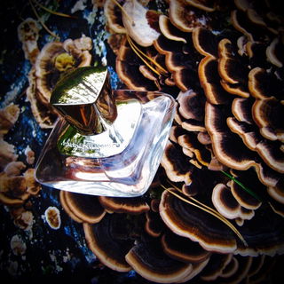 Signorina (Eau de Parfum) - Salvatore Ferragamo