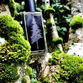 Chillmood Im Murkwood… (by Rosie88)