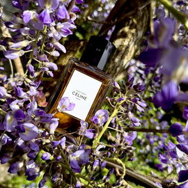 Celine-Frühling 💜