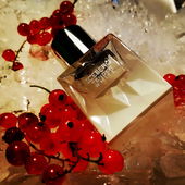 Klimawandel, der Eisberg schmilzt (by Gandix)