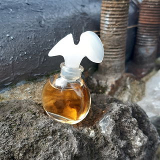 💙🌌Chloe funkt liebe Grüße an ihre Besucher und wünscht einen duften Tag.💙🌌