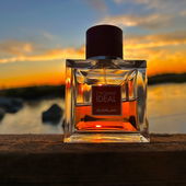 IDEALe Aussicht 🌞🕶️ (by Theris)