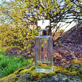 Eternity (Eau de Parfum) - Calvin Klein