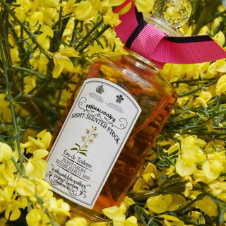 Night Scented Stock by Penhaligon's