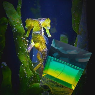 Turquatic / Creations Hue: Turquatic - M∙A∙C