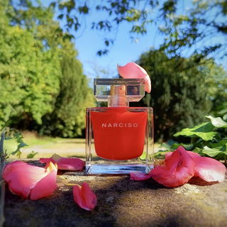 Narciso (Eau de Toilette Rouge) - Narciso Rodriguez