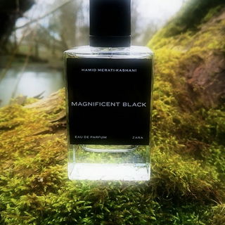 Magnificent Black - Zara