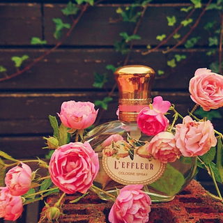 🌹 Rosennostalgie 🌹 Lieben Dank für all die schönen Rückmeldungen 🥰