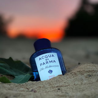 Follow our Instagram: designiche.frags for more beautiful pictures like this ;)