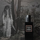 Wenn sie sich nicht beeilt, wird er für immer in die Finsternis gezogen..... (Halloween 2021) (von MadameLegras)