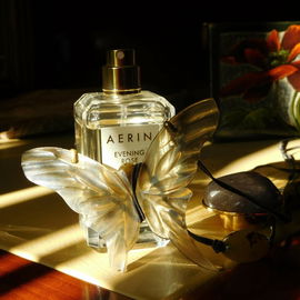 Evening Rose - Aerin