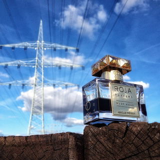 Musk Aoud Absolue Précieux - Roja Parfums