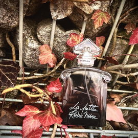 The Only One (Eau de Parfum) - Dolce & Gabbana