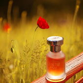 Ein lauer Sommerabend kündigt sich an, die Luft ist in warmes Licht getaucht, perfekt für Come L'Amore (von MadameLegras)