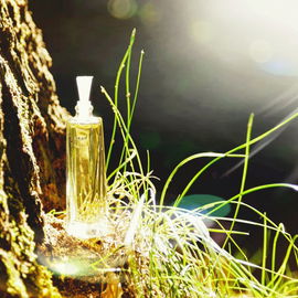 Léonard (1989) (Eau de Toilette) - Léonard
