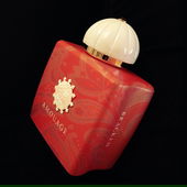 Paisley Park is in my Heart ❤ (von Amourage)