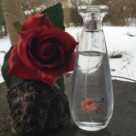 Rose - Bronnley