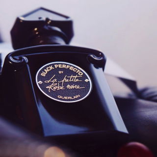 Black cherries on a leather bed