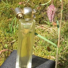 Organza First Light - Givenchy