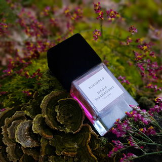 Magic Mushrooms - Bohoboco