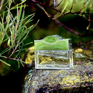 …📷🌍 Thank you. Danke schön. Merci beaucoup. Muchas gracias. Dōmo arigatō gozaimasu 💐…