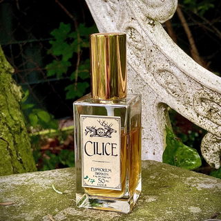 Cilice (Eau de Parfum) - Euphorium Brooklyn