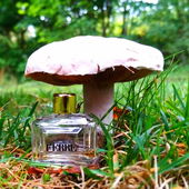 Gut beschützt (von MadameLegras)