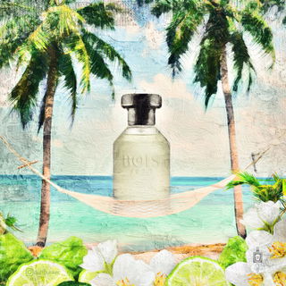 hangin’ around with my bois! ;) bois1920 - paraná : wow! mein erster aus dem hause und gleich sone fantastische volltreffergranate - der auftakt macht neugierig - der nachgang hat mich im netz! dieser duft darf auf ewig bei mir bleiben!