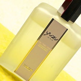 Yuzu Man - Caron