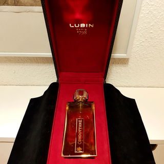 Condottiere von Lubin