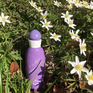 Il Vs Iris - Hilde Soliani Profumi