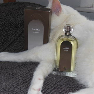 Ambre (Eau de Toilette) von Molinard